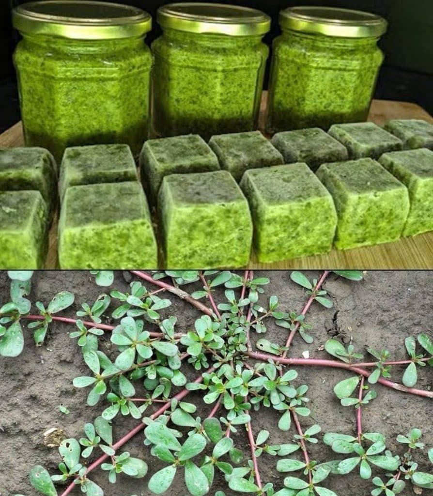 This Common Garden “Weed” May Be One of the Healthiest Foods You Can Eat After 60