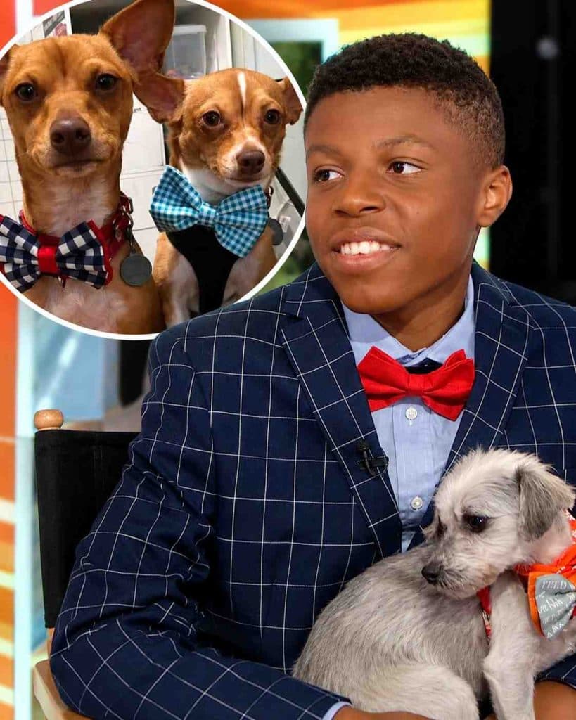 This 12-Year-Old Boy Started Sewing Bow Ties for Shelter Dogs What Happened Next Changed Hundreds of Lives