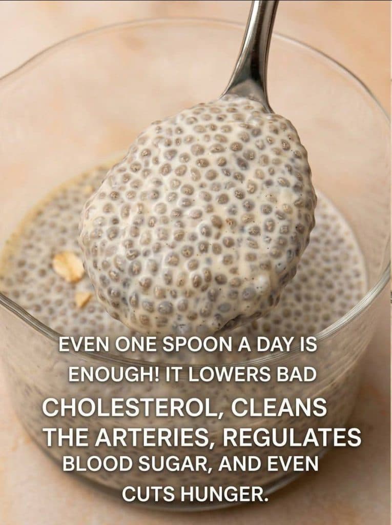 The Creamy Chia Pudding Seniors Are Falling in Love With: Easy, Healthy, and Ready Overnight