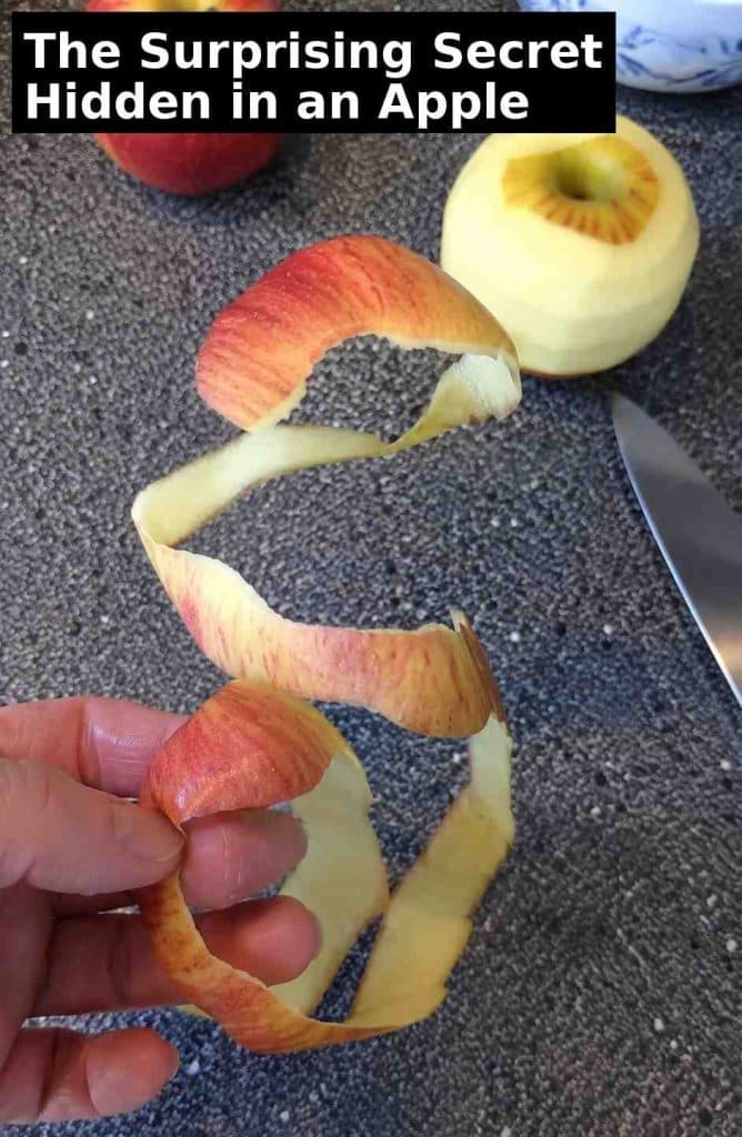 Most People Throw This Away Without Knowing What It Can Do for Their Health After 60