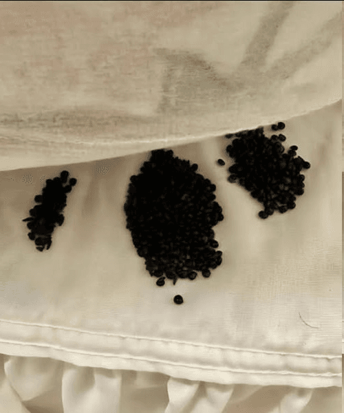 I Found a Strange Pile of Black Grains Under My Mattress, The Truth Left Me Speechless