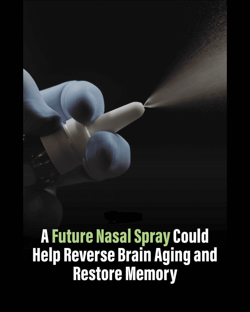 Scientists Develop Nasal Spray That May Help Reverse Signs of Brain Aging