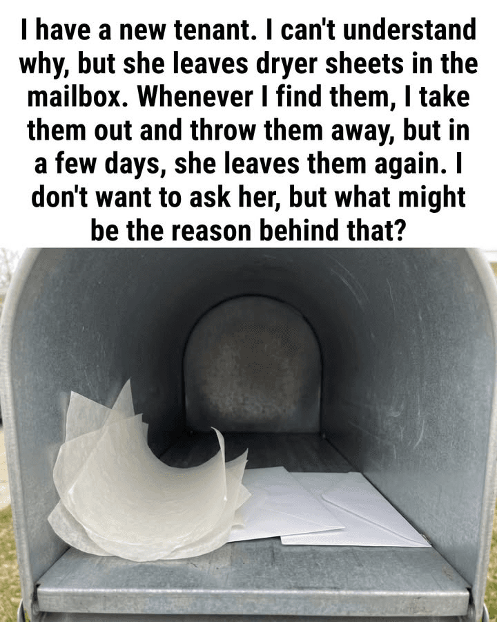 Why You Might Find a Dryer Sheet Inside Your Mailbox During Summer