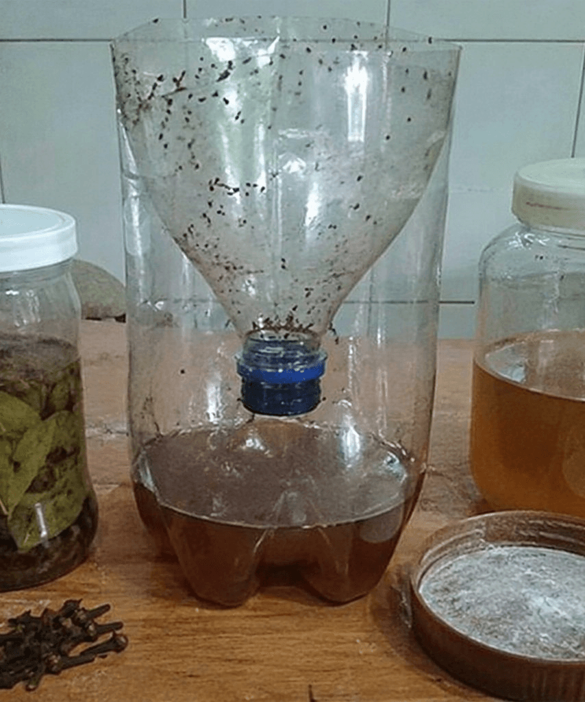 My Neighbor Stopped Using Chemical Bug Sprays Years Ago. The Simple Homemade Trick Surprised Me.