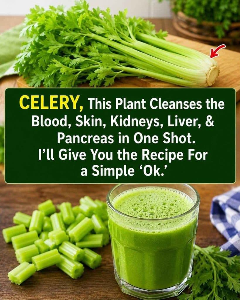 This plant cleans the blood, skin, kidneys, liver, and pancreas in one go. But d0 it this way… To keep receiving my recipes, you just need to say something… Thank you!…