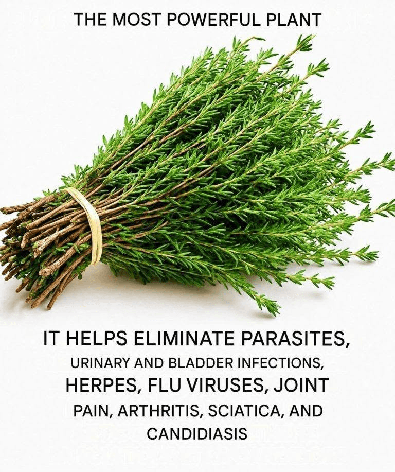 Thyme destroys throat infecti0ns, the flu, and fights respiratory infections.