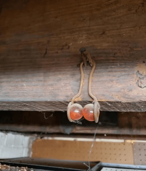 Unlock the Timeless Charm of an Antique Treasure