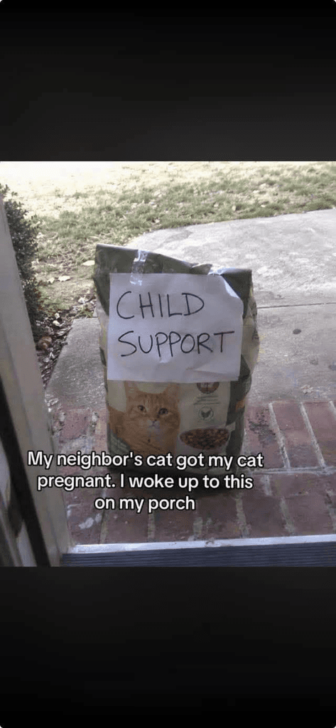 Neighbor’s Cat Fathers Litter, Responsibly Delivers First Child Support Payment in Kibble
