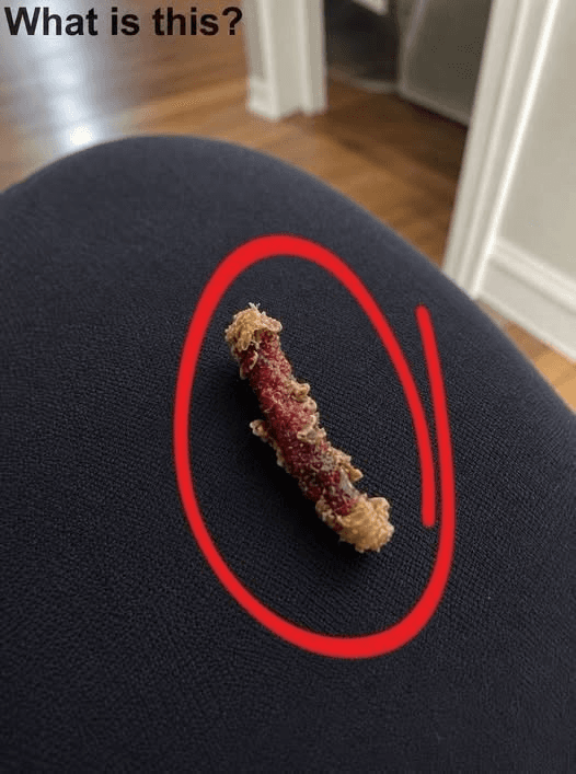 I Woke Up in the Middle of the Night Convinced Something Was Biting My Skin